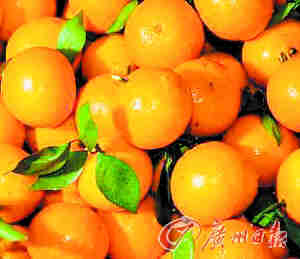 皇帝柑连络吃 助化痰可安神