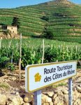 法国南部葡萄酒风情之旅