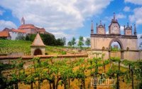 法国六大著名葡萄酒产区地图揭秘