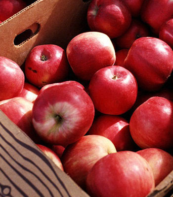 6大养颜水果助你塑身有型