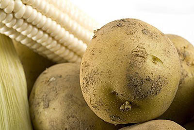 想要宝宝?十八种食物绝对不能碰