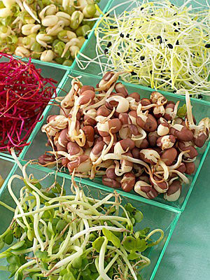 必须马上处理的十大危险食物