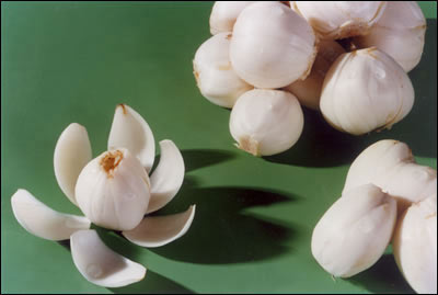 10大宝贝滋阴补血又保肾