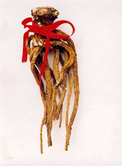 10大宝贝滋阴补血又保肾