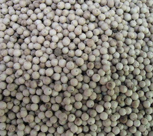 日常助健康的六种食物