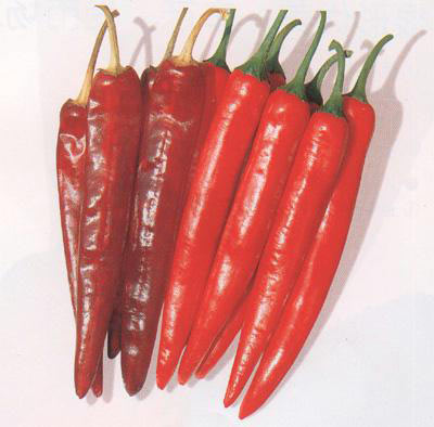 日常助健康的六种食物