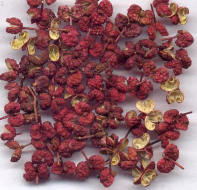 日常助健康的六种食物