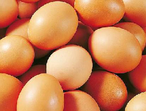 科学观点:鸡蛋不能横着放 科学观点:鸡蛋不能横着放