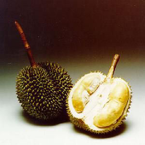 榴莲食谱 吃出健康好女人