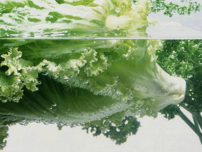 盘点12大最肮脏VS干净果蔬