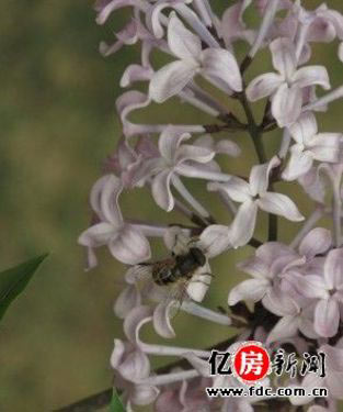 快速止牙痛!厨房里必看7个食疗秘方