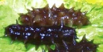 教你辨别15种最易掺毒的食品 教你辨别15种最易掺毒的食品