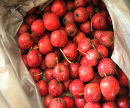 推荐 秋季养生最适合吃的六大类水果