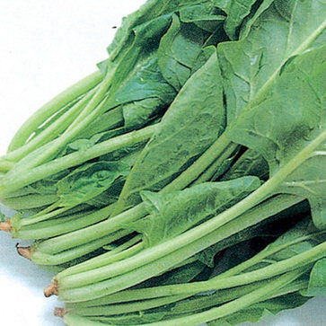 五种女人专属养生最佳食物