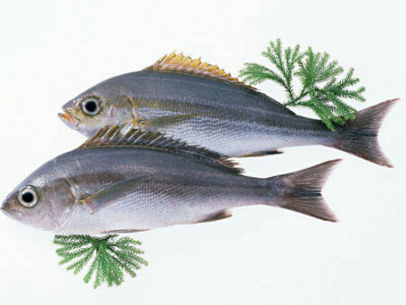 十二种不健康的亏本吃法(组图)