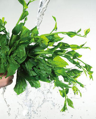 慵懒冬日帮你提神的六种食品（组图）