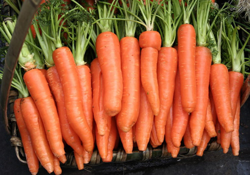 5个技巧 饮食美容就能轻松掌握 5个技巧 饮食美容就能轻松掌握