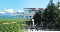 甘肃：打造中国知名葡萄酒品牌的决心