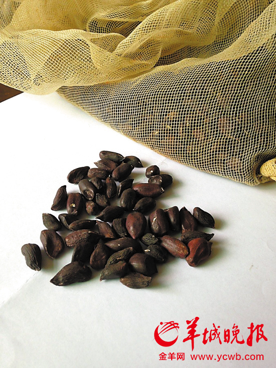 剥掉壳后的黑花生仁