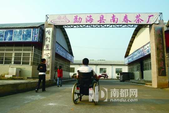 聚在一起试茶是茶客们到云南的一个重要节目。