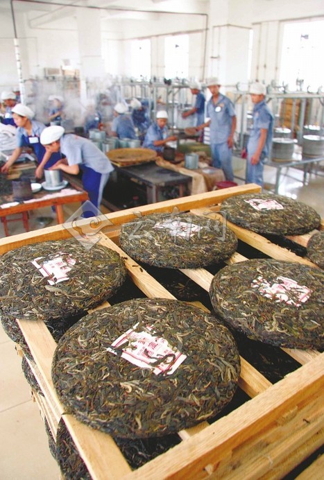 云茶谋求战略突围 实现转型升级