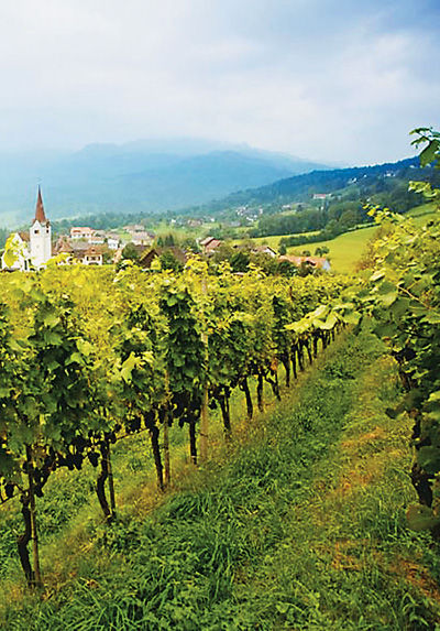 法国波尔多葡萄酒庄