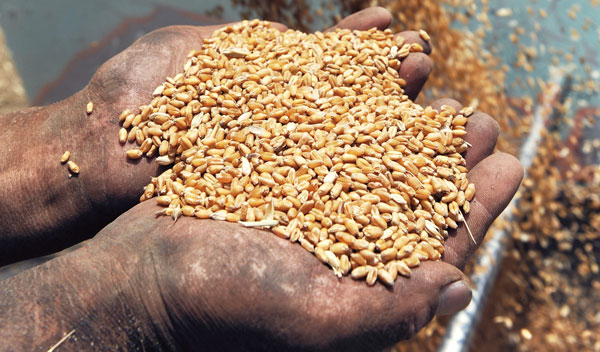 本报记者 何光伟 石玉 发自北京、郑州