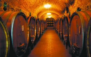 夏日美酒需要清凉储存