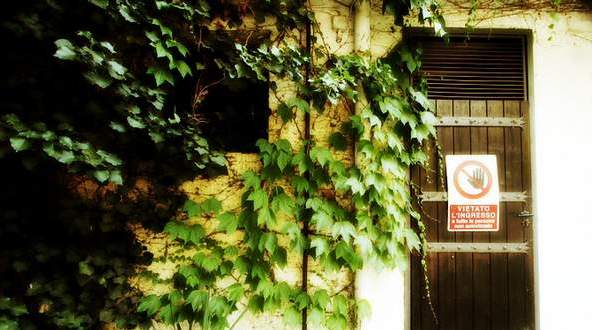 意大利 天堂酒庄的美酒与玫瑰