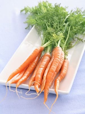 养生需知:盘点10种最抗衰老蔬菜(组图)