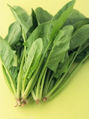 养生需知:盘点10种最抗衰老蔬菜(组图)