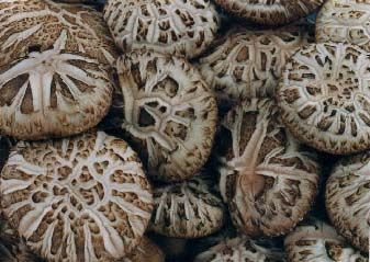 融水香菇 图源：新浪网