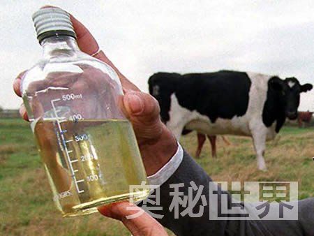 世界最怪异的饮料 你的舌尖受得了吗？