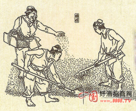 白酒酿造工艺流程图解