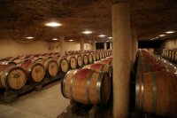 法国爱马狮明星酒庄：源自最纯正葡萄酒的基因