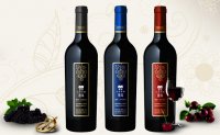 朋珠年生产葡萄酒38000多吨