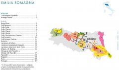 意大利葡萄酒中的小众之美 Romagna Albana DOCG