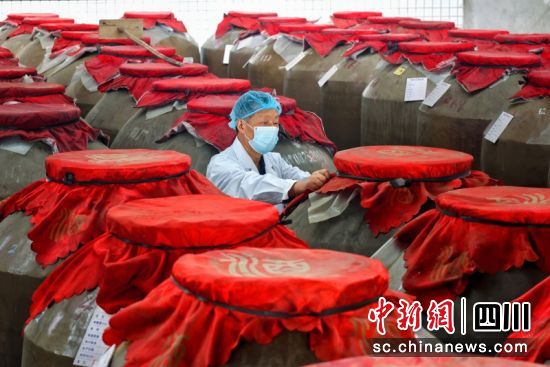  西充县四川小磨井酒业有限公司地窖。衡欢 摄