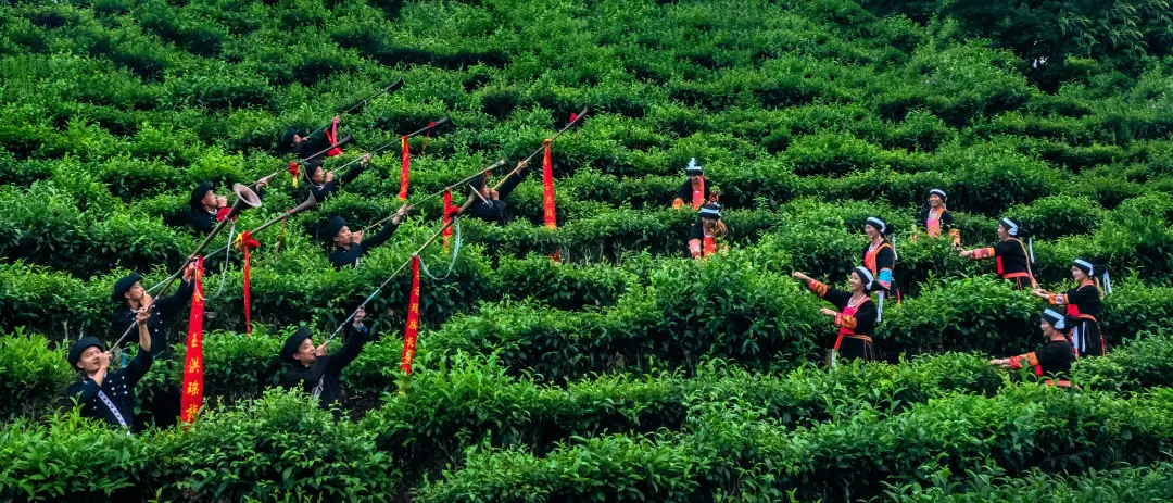 图片4.png 图片4.png